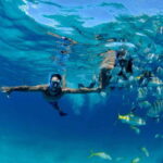 Puerto Morelos: Snorkeling at The National Reef Park - The Practicalities