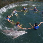 Puerto Morelos: Swim with Dolphins - What Travelers Say