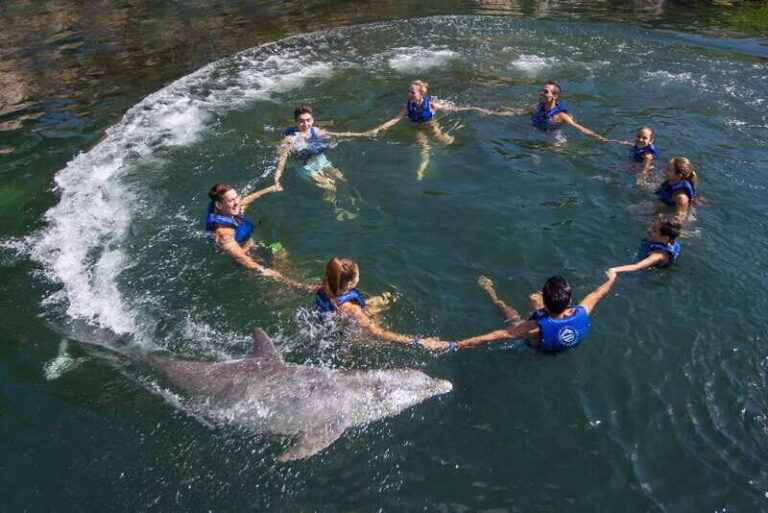 Puerto Morelos: Swim with Dolphins - What Travelers Say
