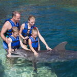 Puerto Morelos: Swim with dolphins Primax - Who Is This Tour Best For?