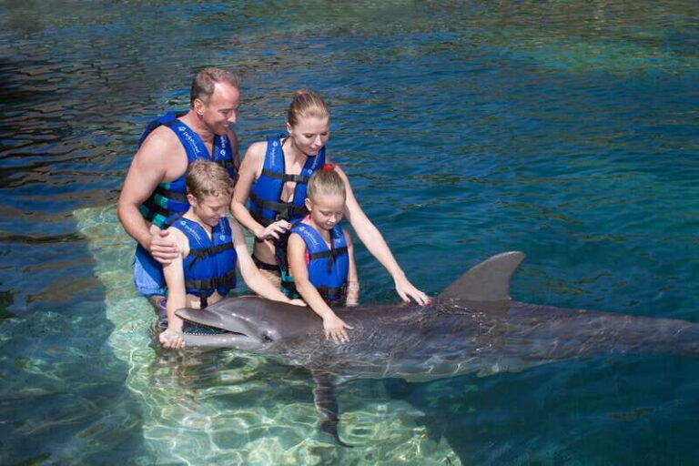 Puerto Morelos: Swim with dolphins Primax - Who Is This Tour Best For?