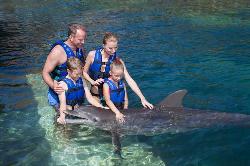 Puerto Morelos: Swim with dolphins Primax - Who Is This Tour Best For?
