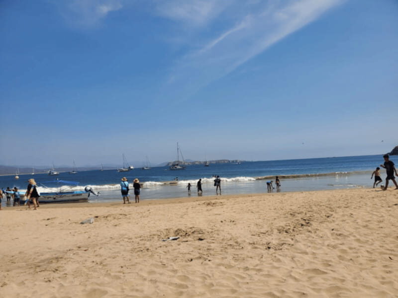 Puerto Vallarta: Beach Tour Experience - Who Is This Tour Best For?