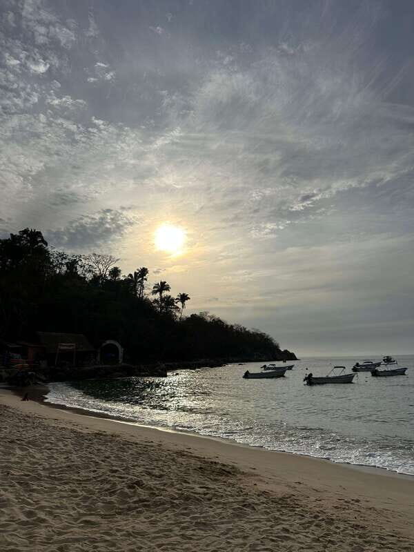 Puerto Vallarta: Bioluminescence in Los Arcos Marine Park - Final Thoughts