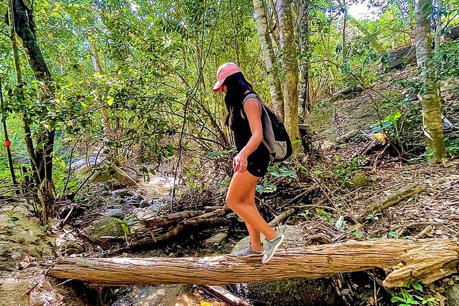 Puerto Vallarta Botanical Gardens Hiking Tour - Authentic Reviews and Traveler Feedback