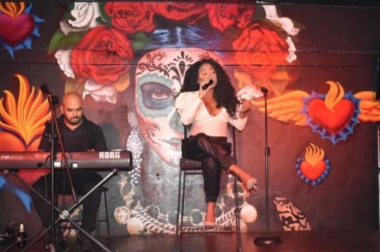 Puerto Vallarta: Cabaret Show with Cocktails & Costumes - The Pros and Cons