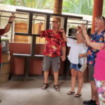 Puerto Vallarta: City Tour - Discovering Puerto Vallarta in Four Hours