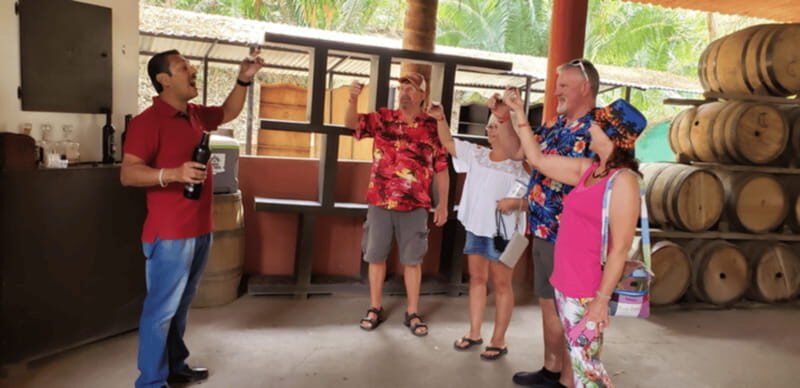 Puerto Vallarta: City Tour - Discovering Puerto Vallarta in Four Hours