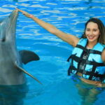 Puerto Vallarta: Dolphin Swimming and Aquaventuras Park - Pros and Cons Based on Real Experiences