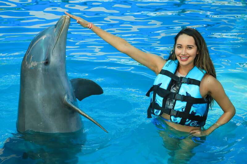 Puerto Vallarta: Dolphin Swimming and Aquaventuras Park - Pros and Cons Based on Real Experiences