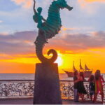 Puerto Vallarta: Exclusive Dive Adventure - The Experience: What You Can Expect