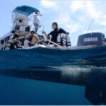 Puerto Vallarta: Exploring Majahuitas Underwater - Who Would Enjoy This Experience?