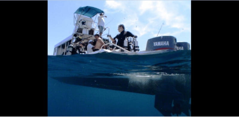 Puerto Vallarta: Exploring Majahuitas Underwater - Who Would Enjoy This Experience?