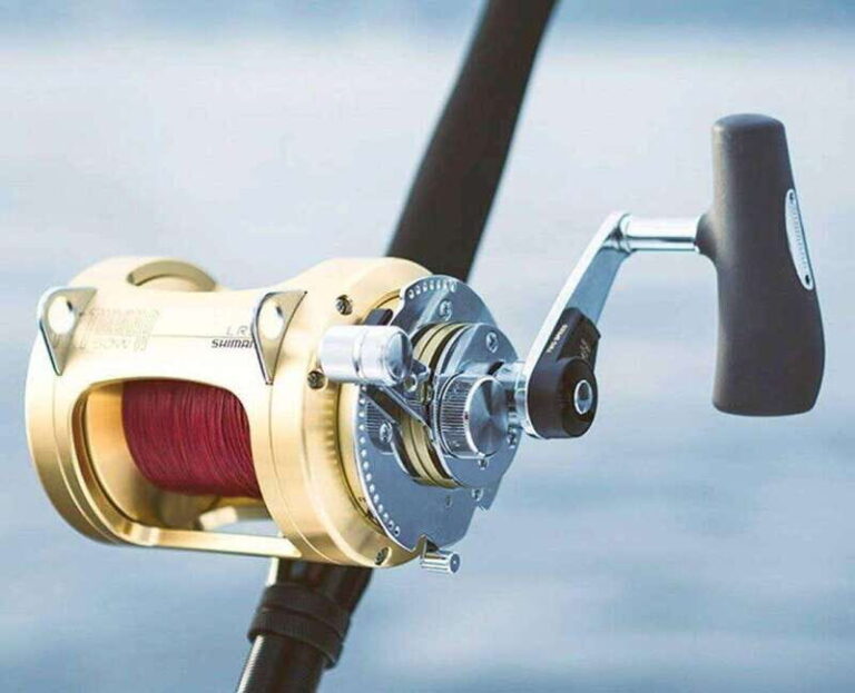 Puerto Vallarta: Fishing Cachi I 28 - What to Expect on the Trip