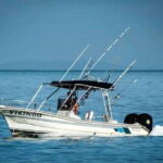 Puerto Vallarta: Fishing Charter - The Itinerary Breakdown