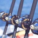 Puerto Vallarta: Fishing Pami I 27 - Value for Money