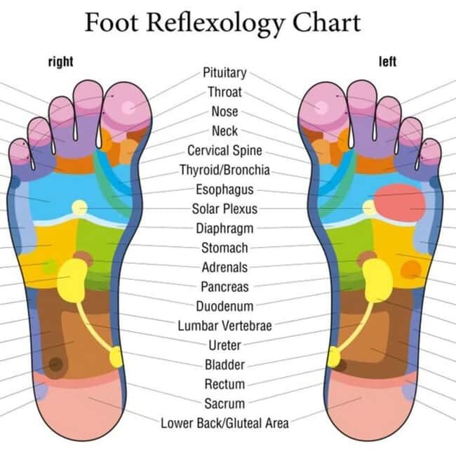 Puerto Vallarta: Foot Reflexology and Tired Legs Massage - The Itinerary in Detail