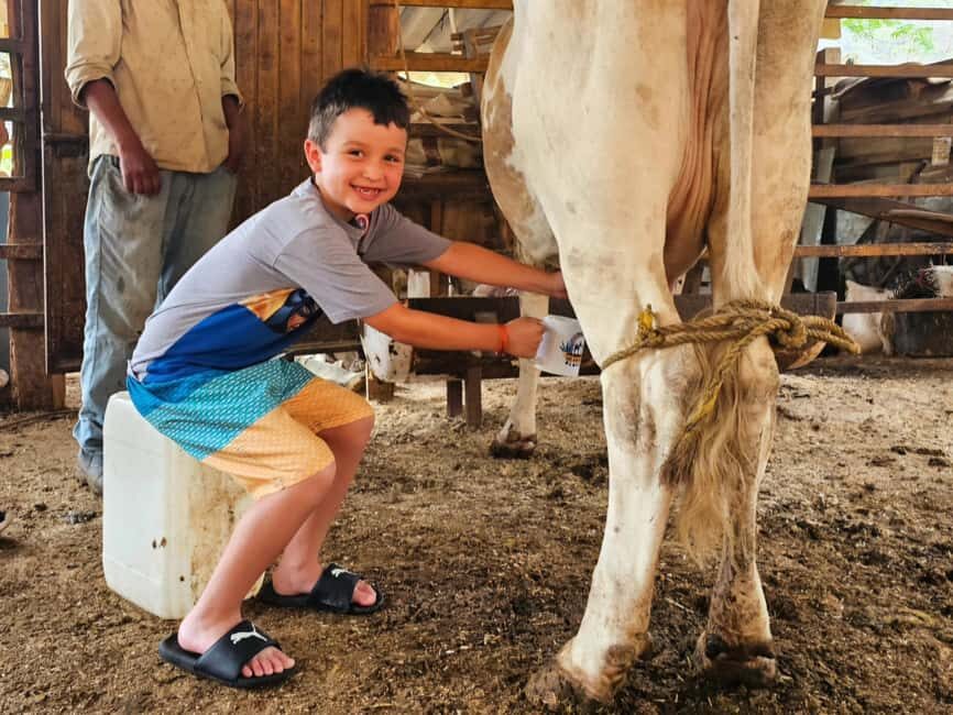 Puerto Vallarta: Hands-on Farm Experience from Cow to Cheese - Transport, Group Size, and Practicalities