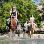 Puerto Vallarta: Horseback Ride to Mountain Waterfalls - An In-Depth Look at the Puerto Vallarta Horseback Ride