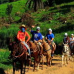 Puerto Vallarta: Horseback Riding Adventure at Canopy River - The Value of the Experience
