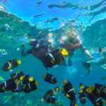 Puerto Vallarta: Luxury Day Sailing Tour of Bay of Banderas - What the Reviews Say