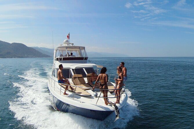 Puerto Vallarta: Luxury Whale Watching Aboard Private Yacht - The Highlights of the Tour