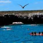 Puerto Vallarta: Marietas Islands Experience - Authentic Traveler Insights