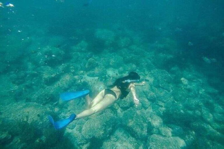 Puerto Vallarta: Pirate Ship Adventure - Whats the Real Value?