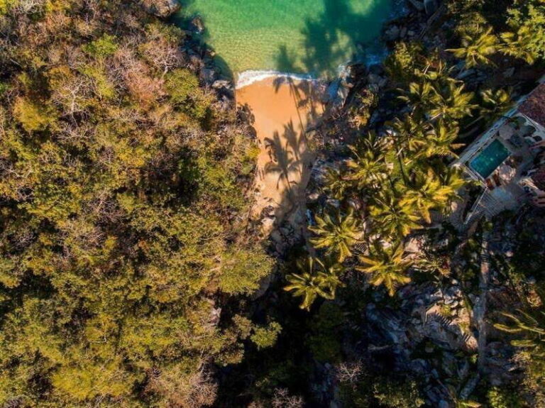 Puerto Vallarta: Private Tour to Colomitos and Las Animas - Why the Price Is Worth It