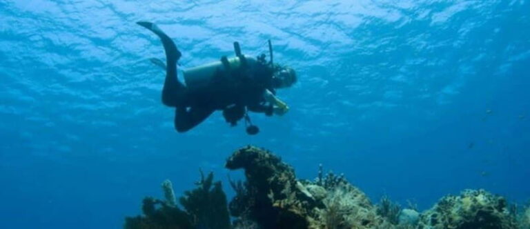 Puerto Vallarta: Scuba Dive at Los Arcos - An Honest Look at the Downside