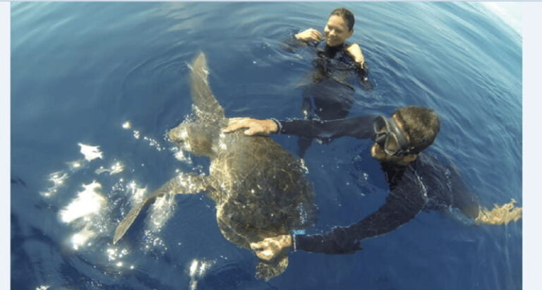 Puerto Vallarta: Scuba Diving en el Morro - Final Thoughts