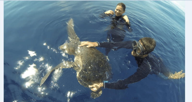 Puerto Vallarta: Scuba Diving en el Morro - Final Thoughts