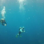 Puerto Vallarta: Scuba Diving Expedition at El Malinal - Practical Details and What It Means for You