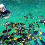 Puerto Vallarta Snorkeling at Arcos and Animas or Quimixto - The Experience from Travelers’ Perspectives