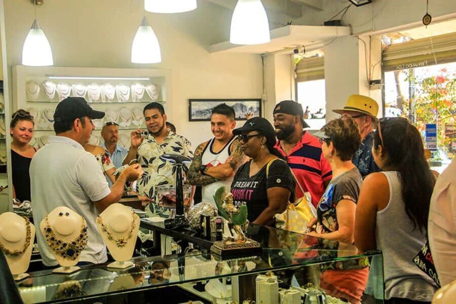 Puerto Vallarta: Tropical City & Zipline Adventure - The Outdoor Adventure: Ziplining at El Edén