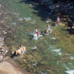 Puerto Vallarta: Tropical Forest Horseback Riding Adventure - The Details That Matter