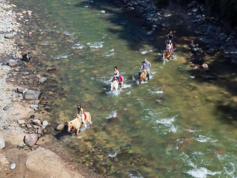 Puerto Vallarta: Tropical Forest Horseback Riding Adventure - The Details That Matter