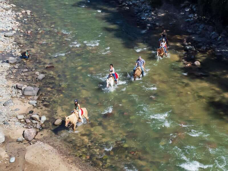 Puerto Vallarta: Tropical Forest Horseback Riding Adventure - The Details That Matter