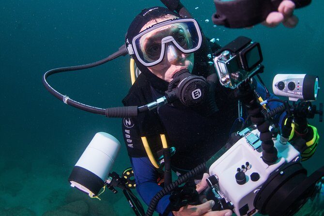 Puerto Vallarta Undersea Private Scuba Diving - Who Is This Tour Best For?