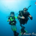 Puerto Vallarta: Underwater Wonderland at Los Arcos - What’s Included & How it Works