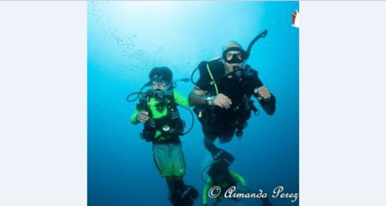 Puerto Vallarta: Underwater Wonderland at Los Arcos - What’s Included & How it Works