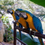 Puerto Vallarta: Vallarta's Botanical Garden by Sea or Land - A Walkthrough of the Tour Experience