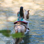 Puerto Vallarta: Wild Tour Horseback Adventure - The Practical Side: Logistics and Value