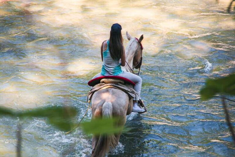 Puerto Vallarta: Wild Tour Horseback Adventure - The Practical Side: Logistics and Value