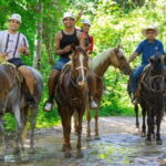 Puerto Vallarta: Zipline Experience over Canopy River Park - The Details: How the Tour Works and What It Feels Like