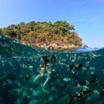Puerto Vallarta: Zipline Tour, Snorkel & Secret Beach Escape - A Full Breakdown of the Experience