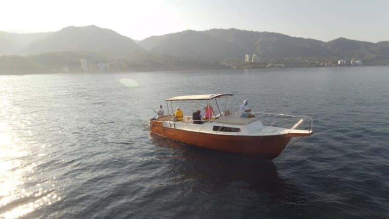 Puerto Vallarta:Exclusive Voyage to Los Arcos and El Paredón - Who Would Love This Tour?
