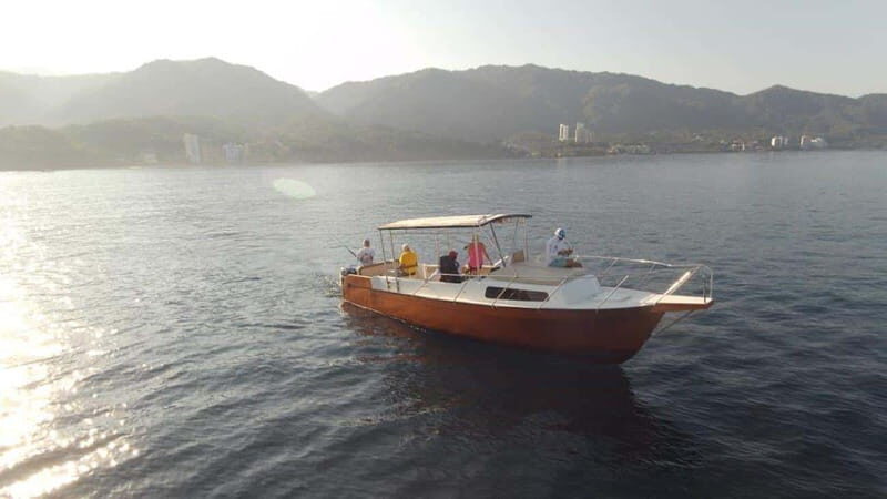 Puerto Vallarta:Exclusive Voyage to Los Arcos and El Paredón - Who Would Love This Tour?