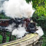 Puffing Billy And Healesville Sanctuary Scenic Tour - The Real Feel from Travelers