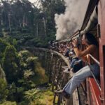 Puffing Billy and Penguin Parade Combo Tour From Melbourne - Who Would Love This Tour?